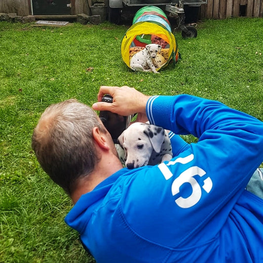 Puppy Shoot